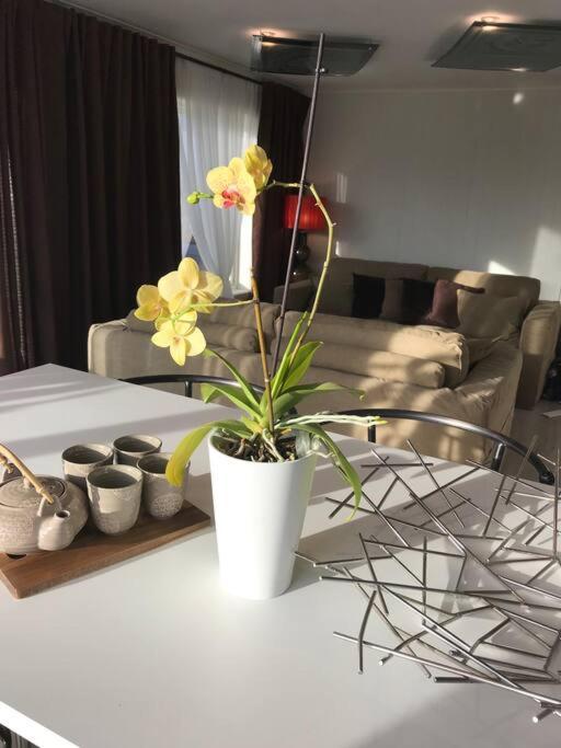 Topp Moderne Suite. 拉尔维克 外观 照片